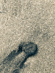 Vacation to Beach Shore coastline