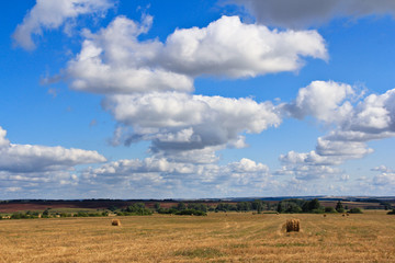 Obraz premium Summer field landscape after wheat harvesting.