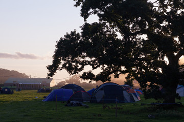 People setting up tents under trees as the sun sets