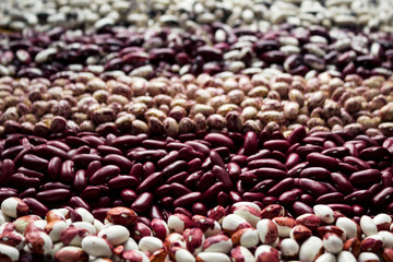 Different types of beans - kidney, variegated beans, anasazi, background. Leguminous, red, white, beige and black beans