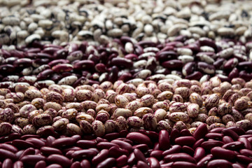 Different types of beans - kidney, variegated beans, anasazi, background. Leguminous, red, white, beige and black beans