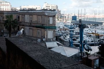 Fototapete bei efototapeten.de bestellen   