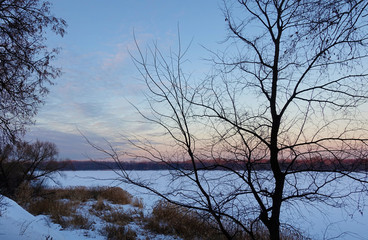 Winter evening in Russia. Trees standing on the bank of a frozen river