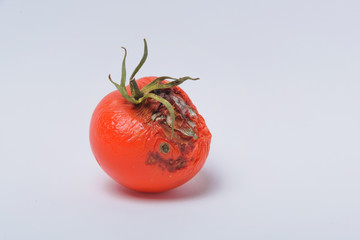 Rotten tomato. Mold on vegetables. Rotten product. Spoiled food. Rotten vegetable. Tomato with mold. Mold fungus. Broken the surface of the tomato. A product that has been affected by mold.