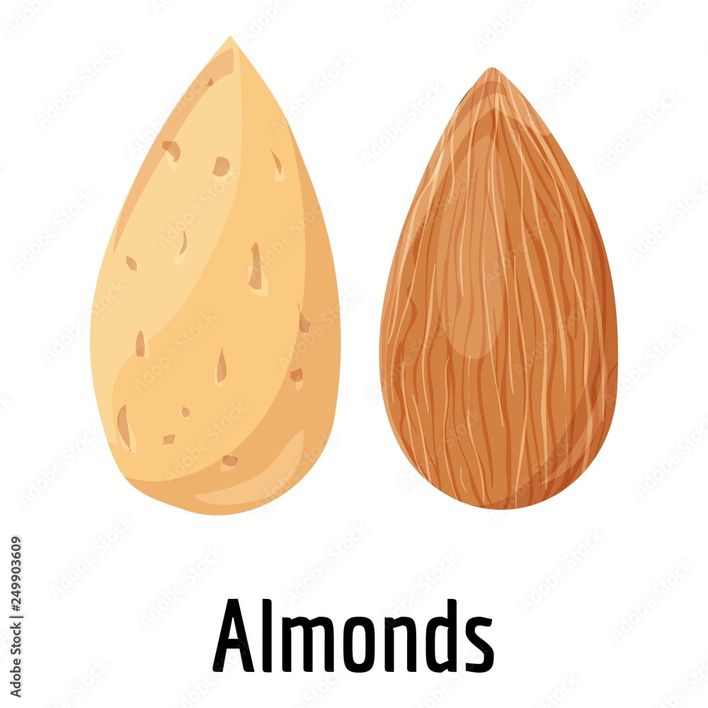 Poster almonds icon. cartoon of almonds vector icon for web design isolated on white background
