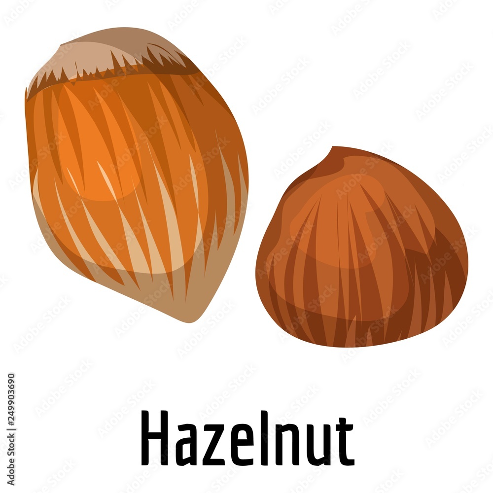 Poster hazelnut icon. cartoon of hazelnut vector icon for web design isolated on white background