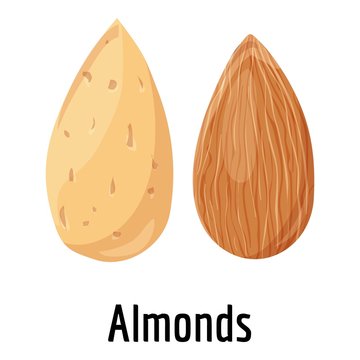 Almonds icon. Cartoon of almonds vector icon for web design isolated on white background