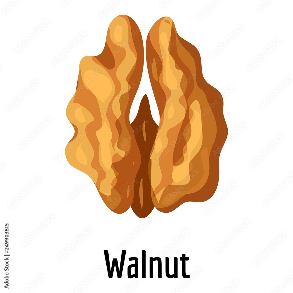 Poster walnut icon. cartoon of walnut vector icon for web design isolated on white background