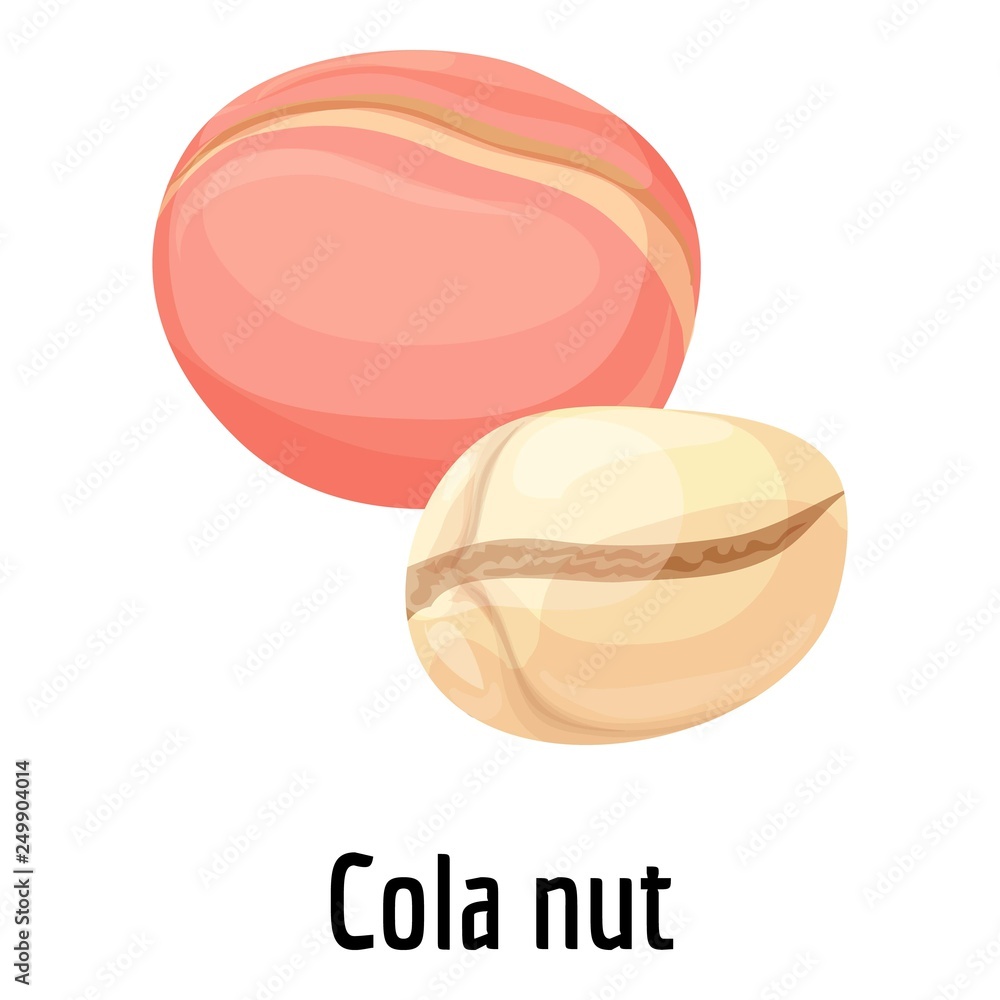 Poster cola nut icon. cartoon of cola nut vector icon for web design isolated on white background