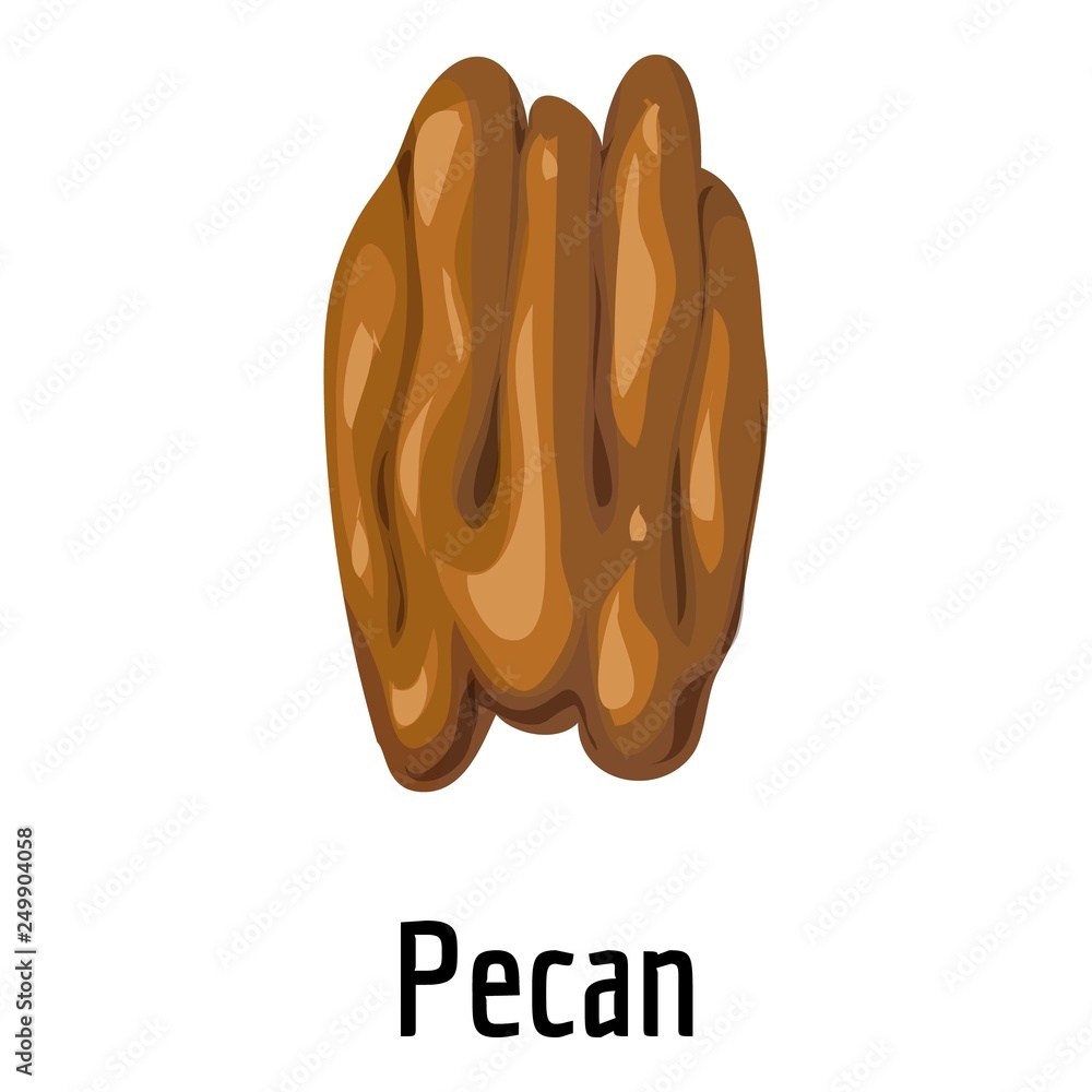 Poster pecan icon. cartoon of pecan vector icon for web design isolated on white background