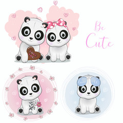 Set cute cartoon pandas with flowers, chocolates and sunglasses