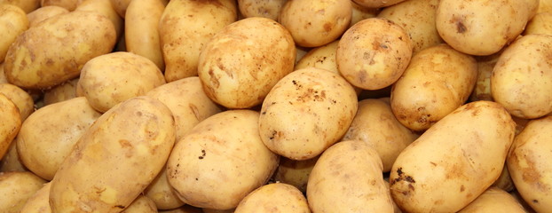 frische Kartoffeln