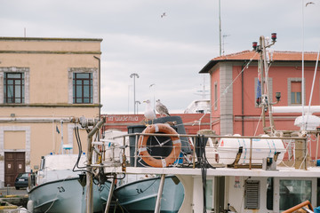 Livorno