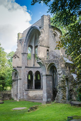 Fototapeta na wymiar Ruine Kloster Heisterbach Siebengebirge Bonn