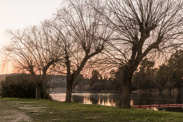 The retention system implanted for common water hyacinth, camalote in the Guadiana river