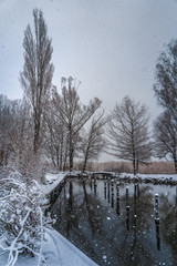 Beautiful winter scences on the shores of the upper Zurich Lake (Obersee) near Hurden (Schwyz) and Rapperswil-Jona (Sankt Gallen), Switzerland