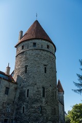 Fototapeta na wymiar castle in Tallinn