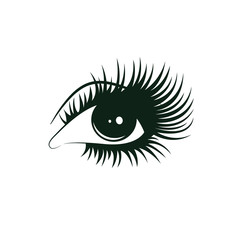 eyelashes logo icon design template vector