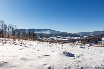 Trees covered with hoarfrost and snow in mountains