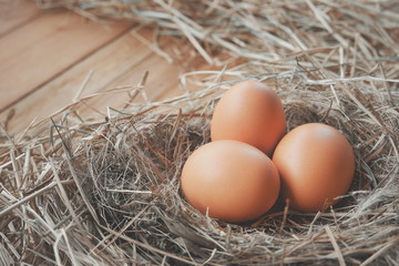 Close up three chicken eggs in hay nest with straw on wooden plank