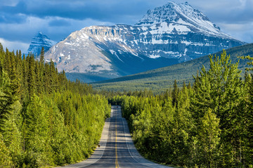 Icefields Parkway at Mount Sarbach - A Spring evening view of Icefields Parkway running through...