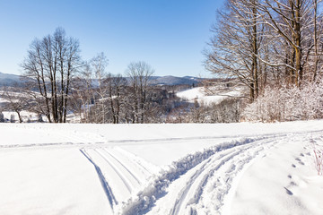 Obraz premium Winter road running between the frozen trees