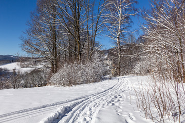 Obraz premium Winter road running between the frozen trees
