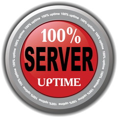 100% server uptime icon