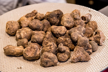 White truffles of  San Miniato in Tuscany