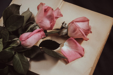 a bouquet of pink roses lie on the retro pages of a vintage book. greeting card image concept