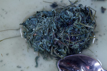 Jiaogulan herb is also referred to as the herb of the immortals and sold.