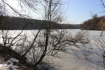 The shore of the forest lake in early spring