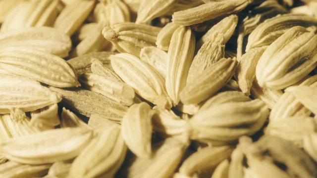 Cumin seeds extreme macro shot