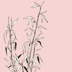 Vector hand drawn conceptual illustration of bamboo sketch isolated on white. Asian and natural themes, interiors, printed goods, fashion, textile. Image for botanic sources.