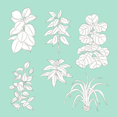 Fototapeta premium vector hand drawn set of minimalist floral sketches isolated on dusty blue background. Design element, floral and natural themes, textile, interior and printed goods decoration. 