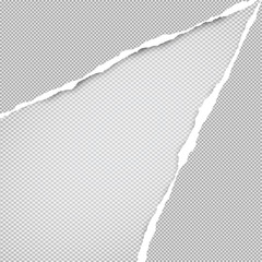 Torn squared grey paper in corners are on background with space for text. Vector illustration