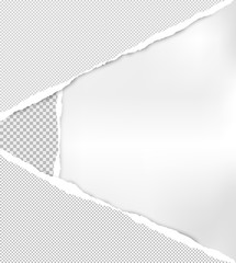 Torn squared grey paper in corners are on white background with space for text. Vector illustration