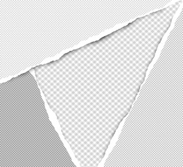 Torn squared grey paper in corners are on background with space for text. Vector illustration
