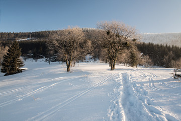 Obraz premium winter morning on Butoranka bellow Lysa hora hill in Moravskoslezske Beskydy mountains in Czech republic