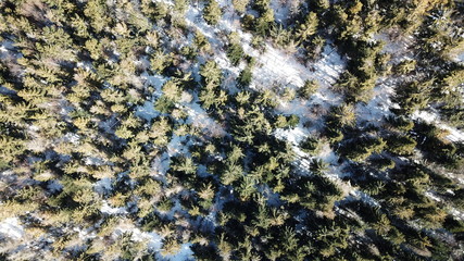 mountains forests peaks snow frost sky clouds beskids nature mountains winter © DEM