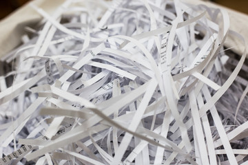 shredded paper in the bag 