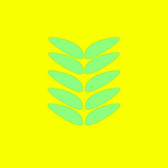 Leaves on the yellow background
