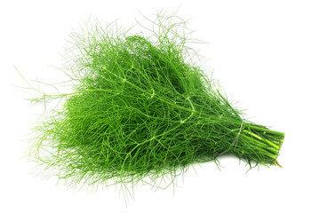 fennel bunch isolated on a white background