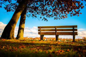 Bench in park in autumn.