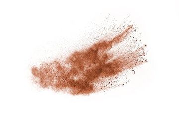 Fototapeta na wymiar Brown color powder explosion on white background. Colored cloud. Colorful dust explode. Paint Holi.
