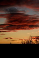 Fototapeta premium Sunset with hunter hide on horizon. Evening picture with beautiful red sky, trees and hide on the background