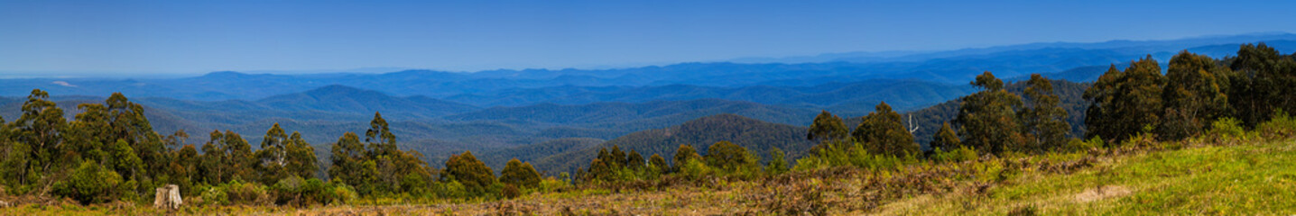 Panoramic view of forests in rural Victoria Australia