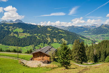 Summer view from the Wispile, Gstaad