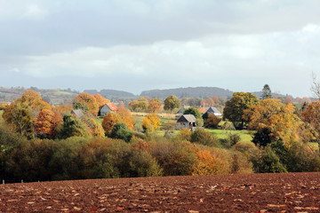 Automne sur les collines de Normandie