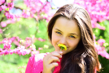 Allergy season. Pretty girl smell daisy flower in blooming garden. Young lady with dandelion at...